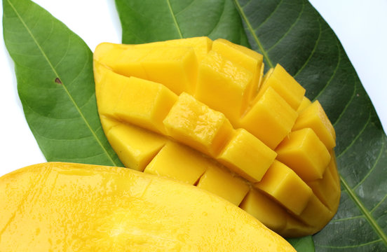 Sweet mango in summer season