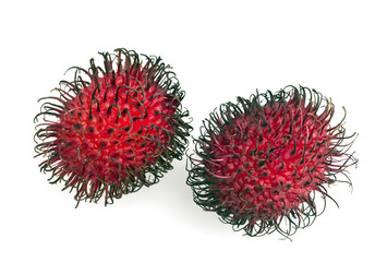 Rambutan Tropical Fruit