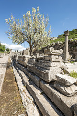 Fototapeta na wymiar Ephesus