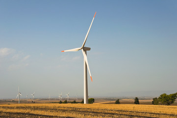 Windmill blade.