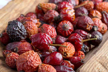 Dried rose hip berries
