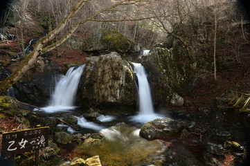 Fototapeta premium 乙女の滝