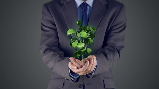 Businessman presenting plant with hands