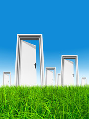 White door in grass with sky background