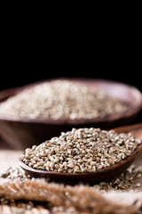 Portion of Hemp Seeds