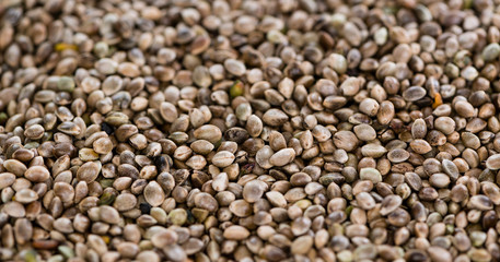 Hemp Seed background