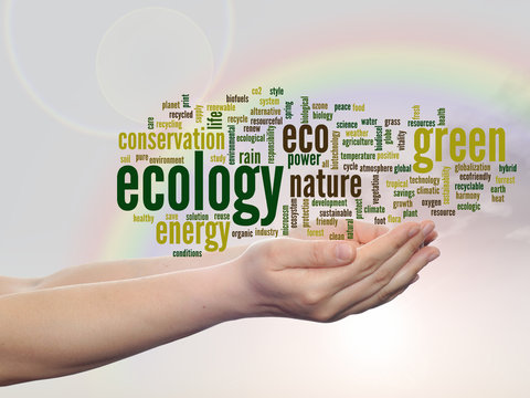 Conceptual ecology word cloud