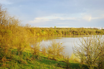 Lake near the forest.