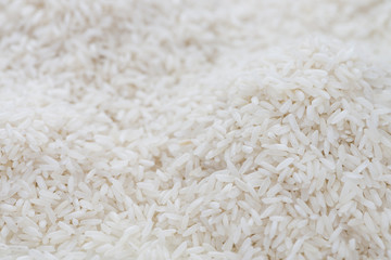 Rice Background