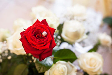 Close-up of bride bouquet of red rose