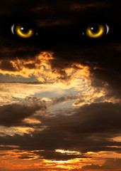 Horror in night