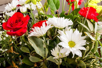 White Daisies with Red Roses