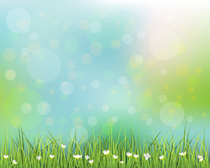 Fototapeta na wymiar Green grass with little white flower background