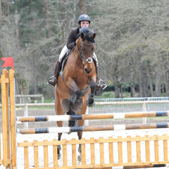 cavalière