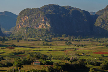 Vinales