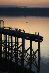 Seagulls on the pier