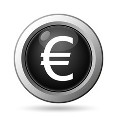 Euro icon