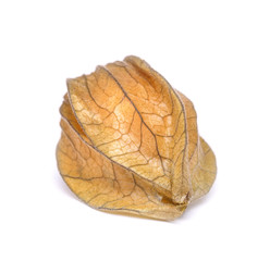 physalis