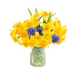 Bouquet of fresh narcissus and hyacinths isolated over white