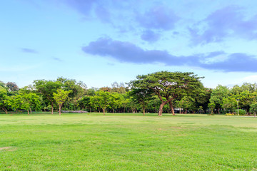 Public park