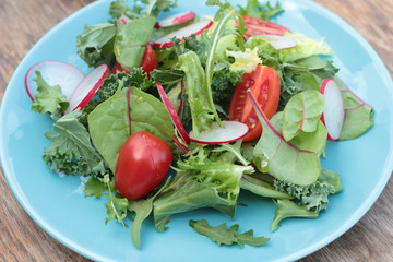 Freshly prepared green salad with sliced radish and tomatoes.