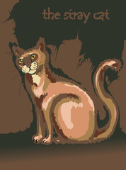 кот бродячий