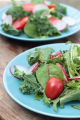 Freshly prepared green salad with sliced radish and tomatoes.