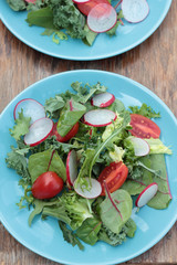 Freshly prepared green salad with sliced radish and tomatoes.