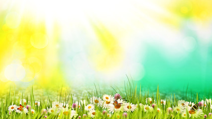 Plakat Beauty summer day on the meadow. Abstract natural backgrounds fo