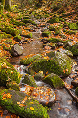 Monbachtal, Bad Liebenzell
