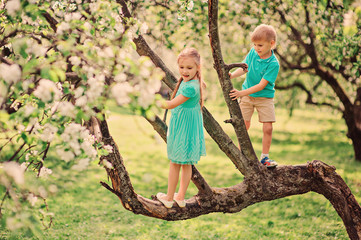 Naklejka na ściany i meble brother and sister having fun and climbing tree in spring garden