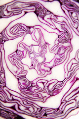 Obraz premium The fruit of red cabbage cut with a knife