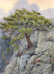 Watercolor landscapes. The tree in the mountains