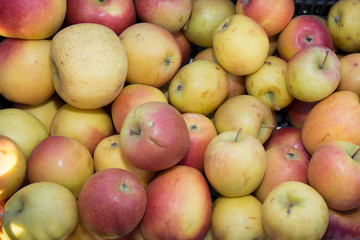 Tasty apple background direct from the farm