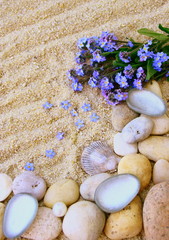 galets ,fleurs,et étoile de mer sur sable de plage