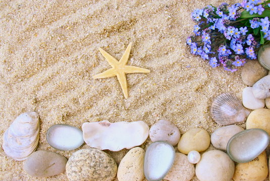 galets ,fleurs,et étoile de mer sur sable de plage