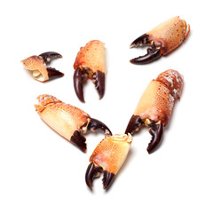 Boiled chela from crab