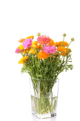 buttercups