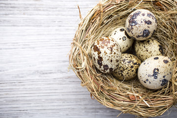 Obraz premium Quail eggs. Easter greeting card.