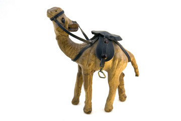 camel in harness on a white background