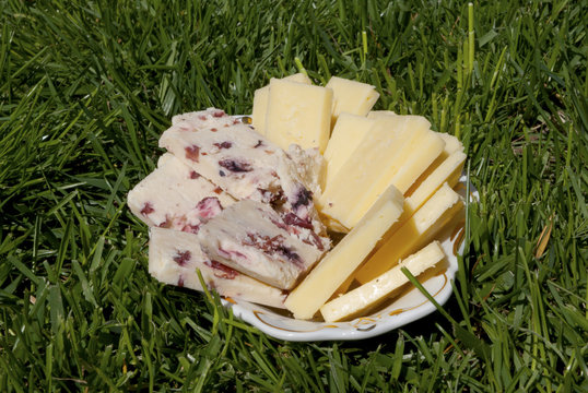 Yellow cheese and cheese with cranberries served on the grass