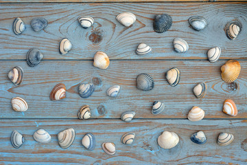 old wooden blue grey background with sea shells