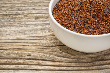 gluten free kaniwa grain