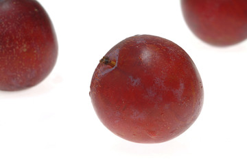 plums isolated on white background