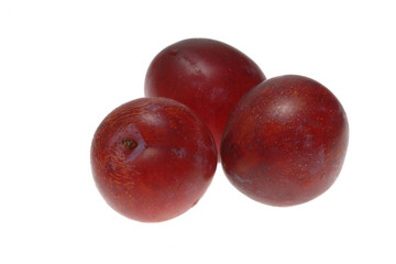 plums isolated on white background