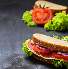  Sandwich with tomato, salami, salad, onion on dark background.