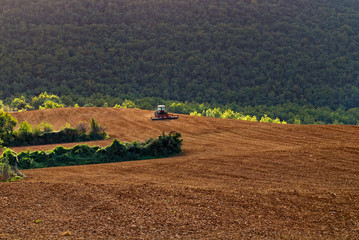 millau