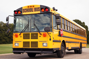 Plakat Public school bus