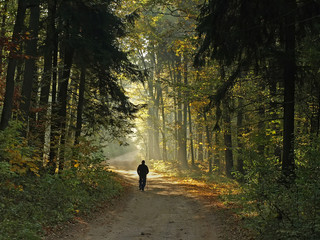 Walk in foggy autumn forest