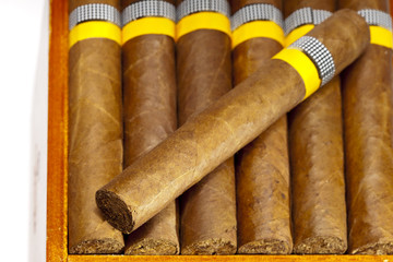 The Cuban cigars, hand made..